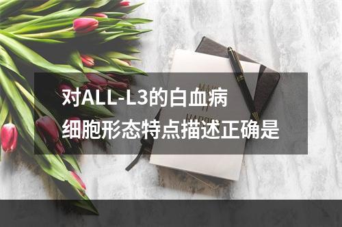 对ALL-L3的白血病细胞形态特点描述正确是