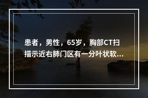 患者，男性，65岁，胸部CT扫描示近右肺门区有一分叶状软组