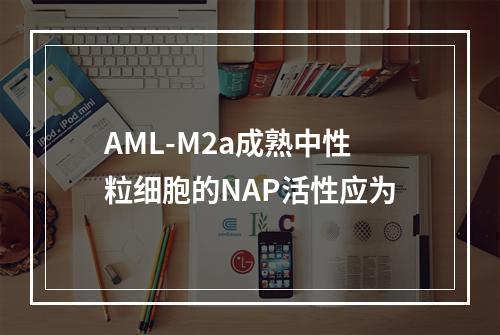 AML-M2a成熟中性粒细胞的NAP活性应为