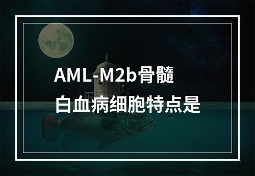 AML-M2b骨髓白血病细胞特点是