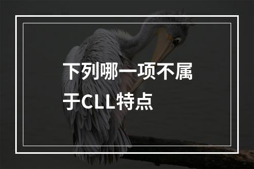 下列哪一项不属于CLL特点