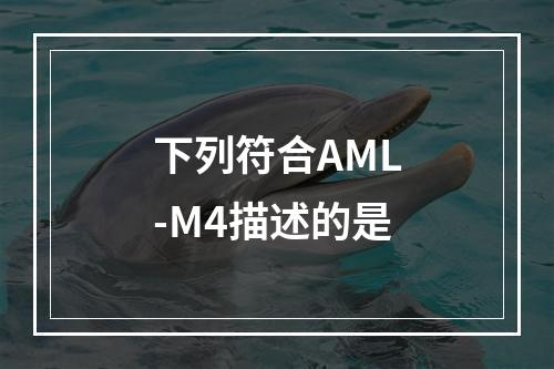 下列符合AML-M4描述的是