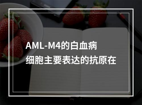 AML-M4的白血病细胞主要表达的抗原在