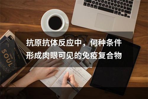 抗原抗体反应中，何种条件形成肉眼可见的免疫复合物