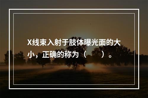 X线束入射于肢体曝光面的大小，正确的称为（　　）。