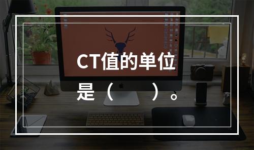 CT值的单位是（　　）。