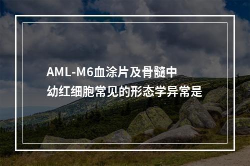 AML-M6血涂片及骨髓中幼红细胞常见的形态学异常是