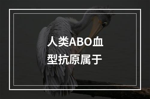 人类ABO血型抗原属于