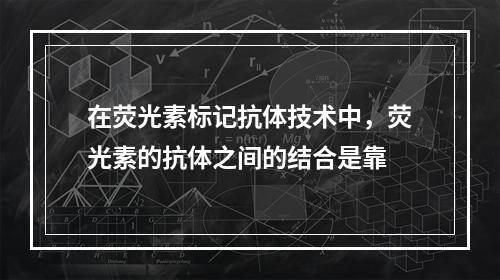 在荧光素标记抗体技术中，荧光素的抗体之间的结合是靠