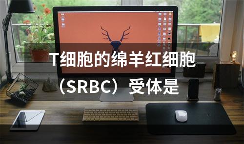 T细胞的绵羊红细胞（SRBC）受体是