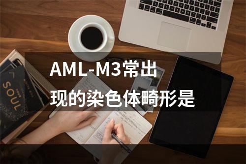 AML-M3常出现的染色体畸形是