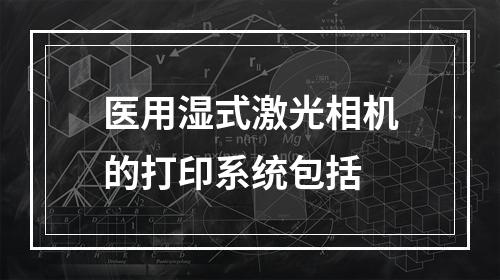 医用湿式激光相机的打印系统包括