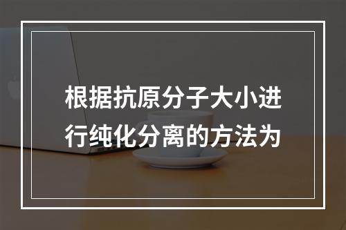 根据抗原分子大小进行纯化分离的方法为