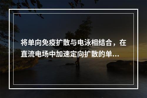 将单向免疫扩散与电泳相结合，在直流电场中加速定向扩散的单向免