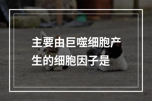 主要由巨噬细胞产生的细胞因子是