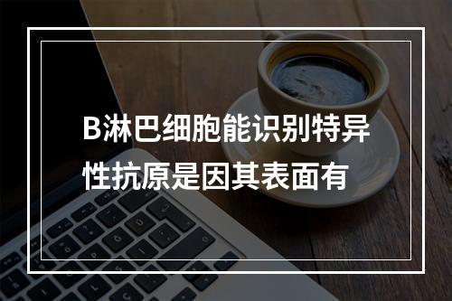 B淋巴细胞能识别特异性抗原是因其表面有