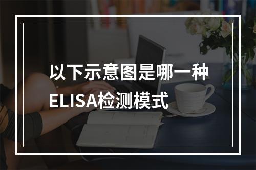 以下示意图是哪一种ELISA检测模式