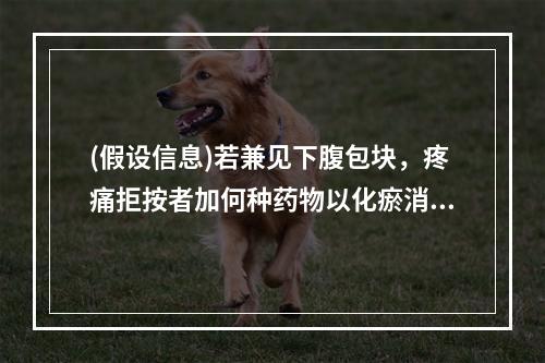 (假设信息)若兼见下腹包块，疼痛拒按者加何种药物以化瘀消积活