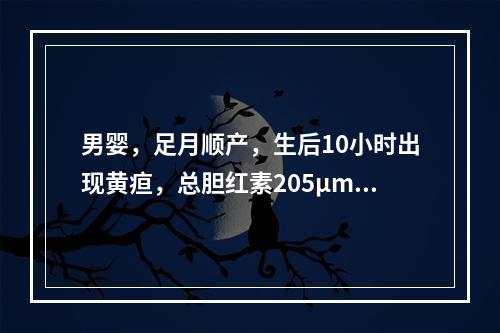 男婴，足月顺产，生后10小时出现黄疸，总胆红素205μmo