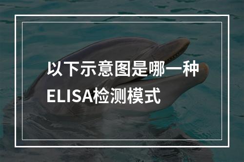 以下示意图是哪一种ELISA检测模式