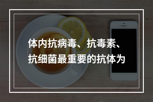 体内抗病毒、抗毒素、抗细菌最重要的抗体为