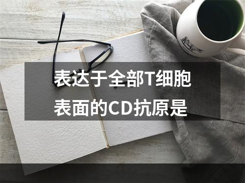 表达于全部T细胞表面的CD抗原是