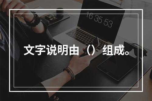 文字说明由（）组成。