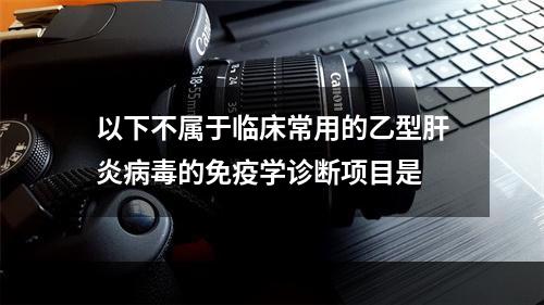 以下不属于临床常用的乙型肝炎病毒的免疫学诊断项目是