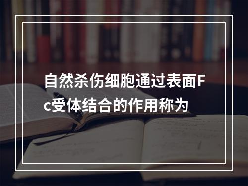 自然杀伤细胞通过表面Fc受体结合的作用称为