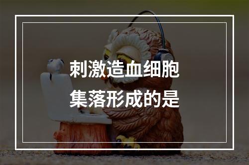 刺激造血细胞集落形成的是