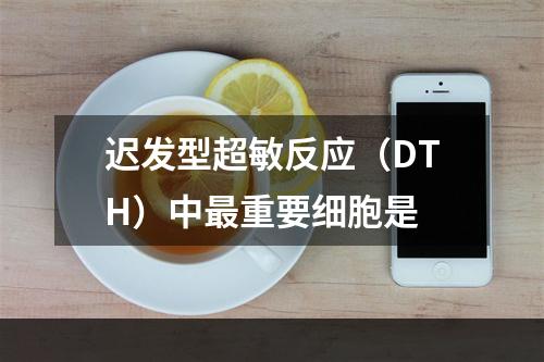 迟发型超敏反应（DTH）中最重要细胞是