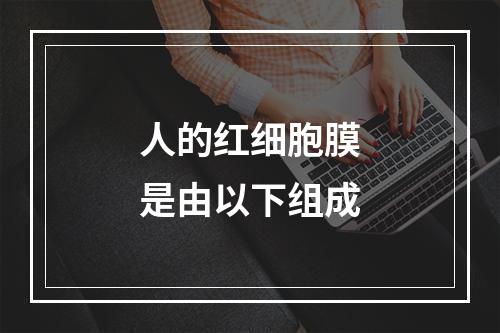 人的红细胞膜是由以下组成