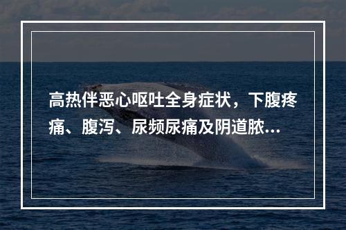 高热伴恶心呕吐全身症状，下腹疼痛、腹泻、尿频尿痛及阴道脓性