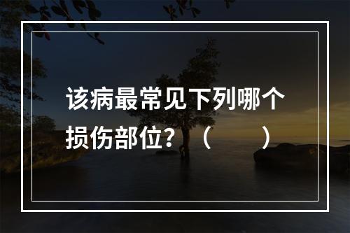 该病最常见下列哪个损伤部位？（　　）