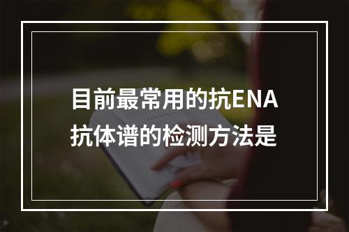 目前最常用的抗ENA抗体谱的检测方法是