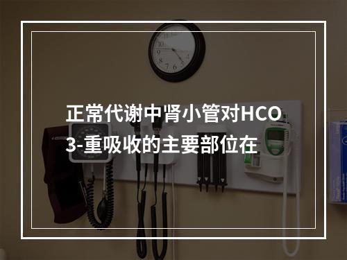 正常代谢中肾小管对HCO3-重吸收的主要部位在