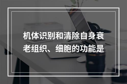 机体识别和清除自身衰老组织、细胞的功能是