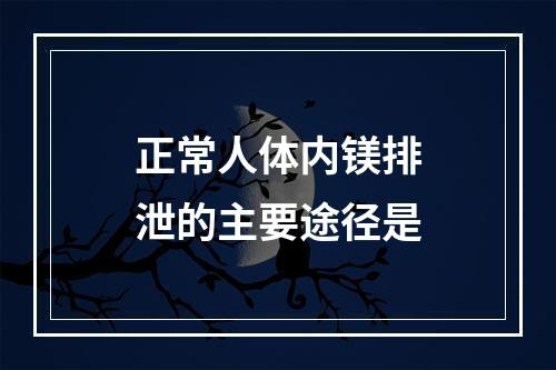 正常人体内镁排泄的主要途径是