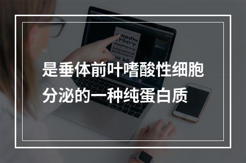 是垂体前叶嗜酸性细胞分泌的一种纯蛋白质