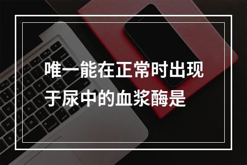 唯一能在正常时出现于尿中的血浆酶是