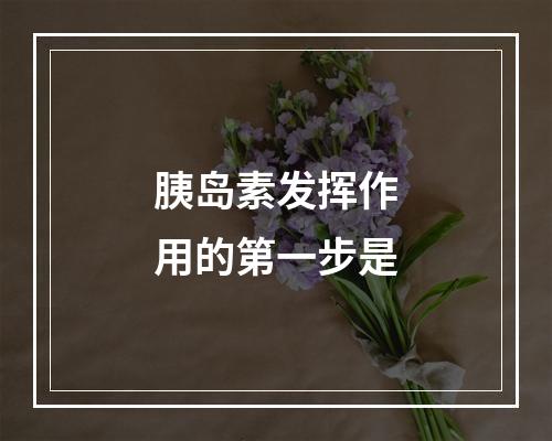 胰岛素发挥作用的第一步是