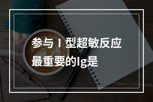 参与Ⅰ型超敏反应最重要的Ig是