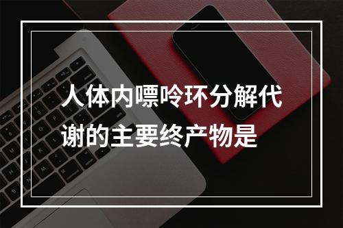 人体内嘌呤环分解代谢的主要终产物是