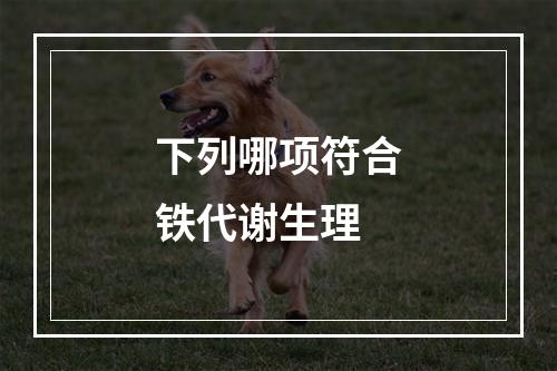 下列哪项符合铁代谢生理