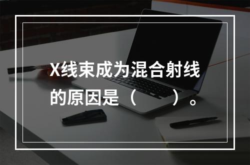 X线束成为混合射线的原因是（　　）。