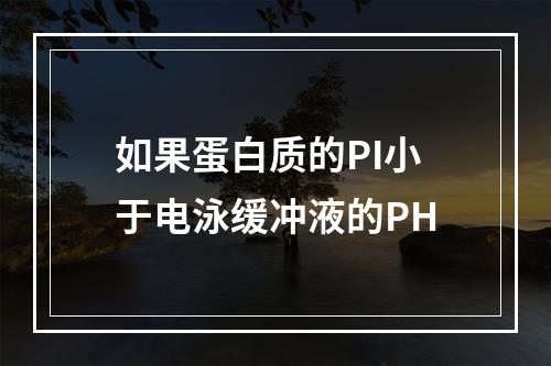 如果蛋白质的PI小于电泳缓冲液的PH