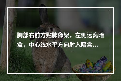 胸部右前方贴肺像架，左侧远离暗盒，中心线水平方向射入暗盒，