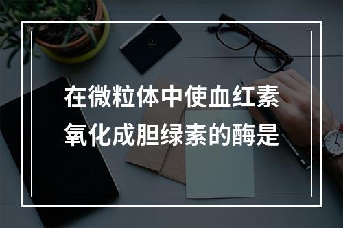 在微粒体中使血红素氧化成胆绿素的酶是