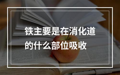 铁主要是在消化道的什么部位吸收