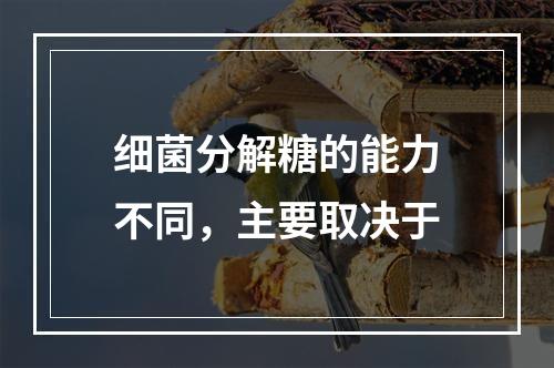 细菌分解糖的能力不同，主要取决于